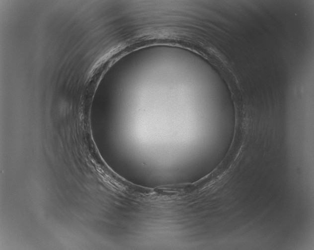 X0000076350922200610201756