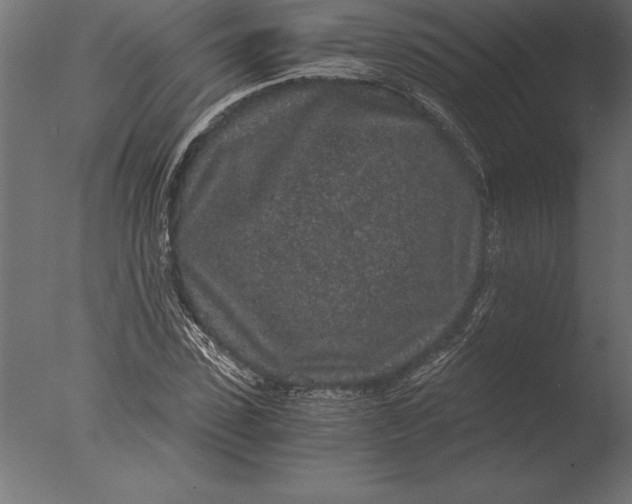 X0000076350923200610201756