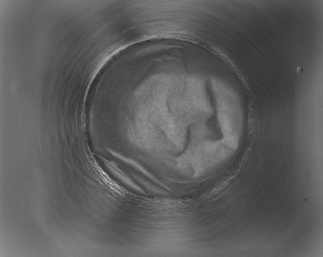 X0000076350924200610201756