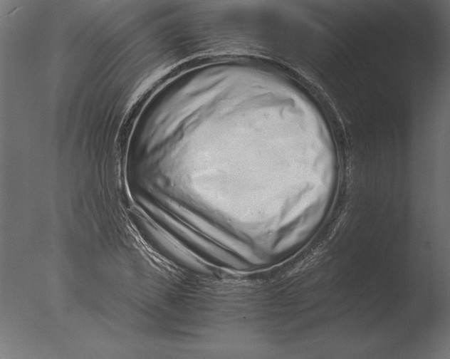 X0000076350925200610201756