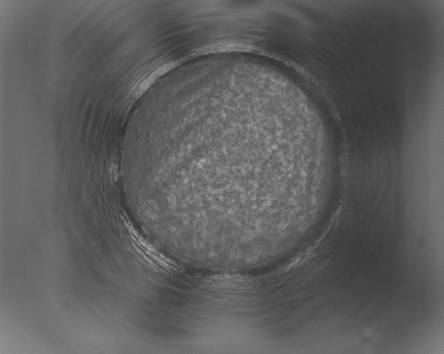 X0000076350929200610201756