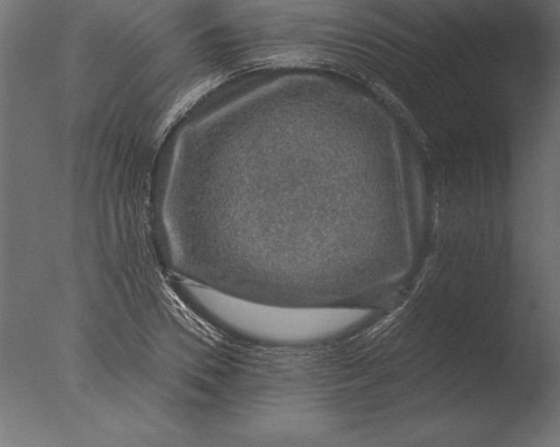 X0000076350930200610201756