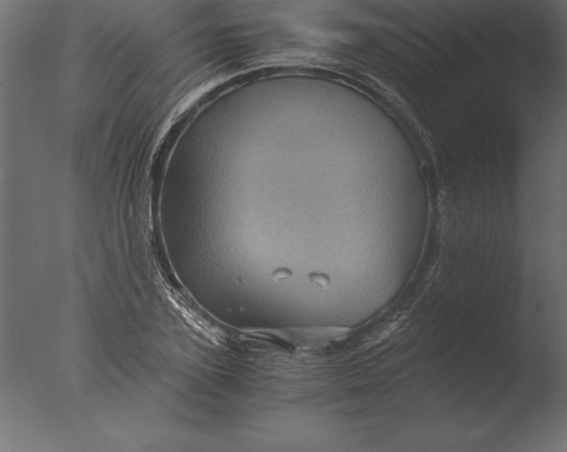 X0000076350931200610201756