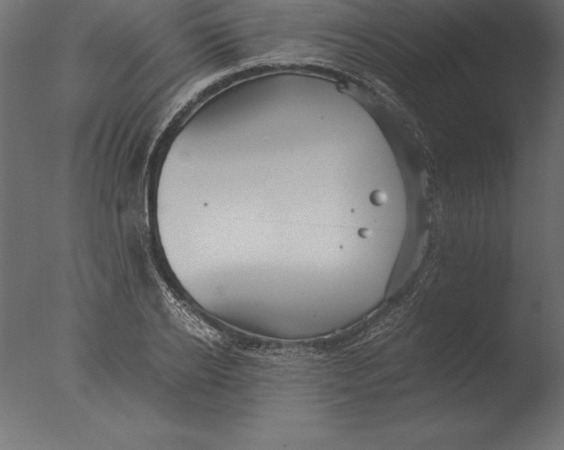 X0000076350934200610201756