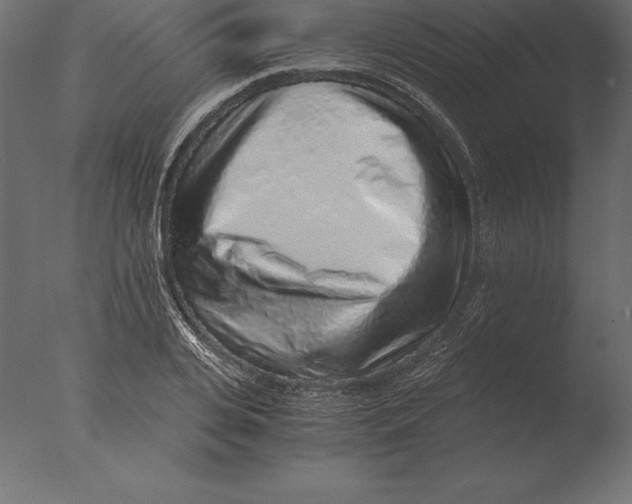 X0000076350935200610201756