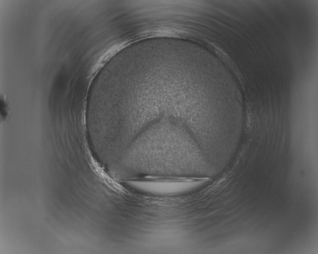 X0000076350938200610201756