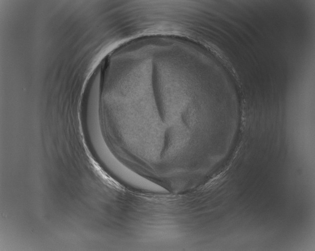 X0000076350942200610201756