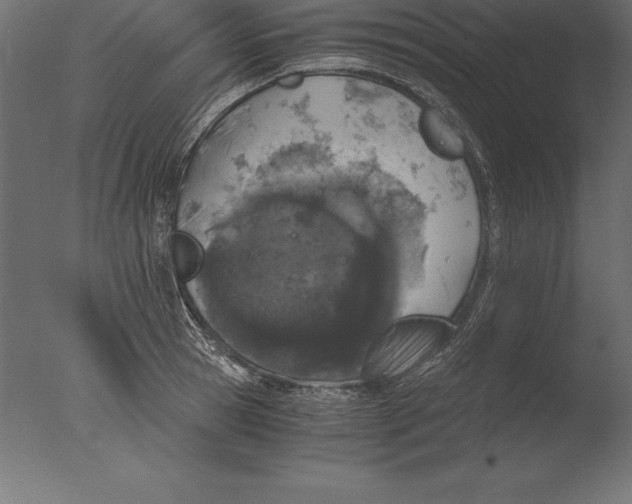 X0000076350945200610201756