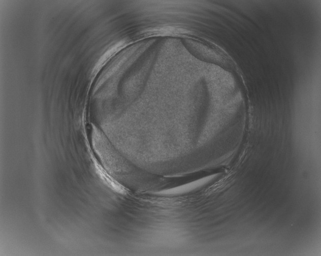 X0000076350946200610201756