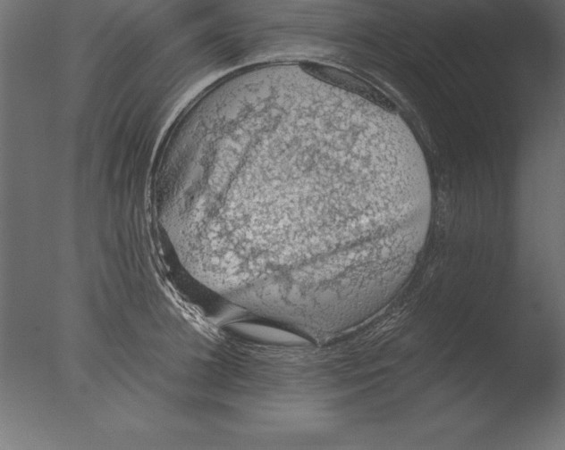 X0000076350948200610201757