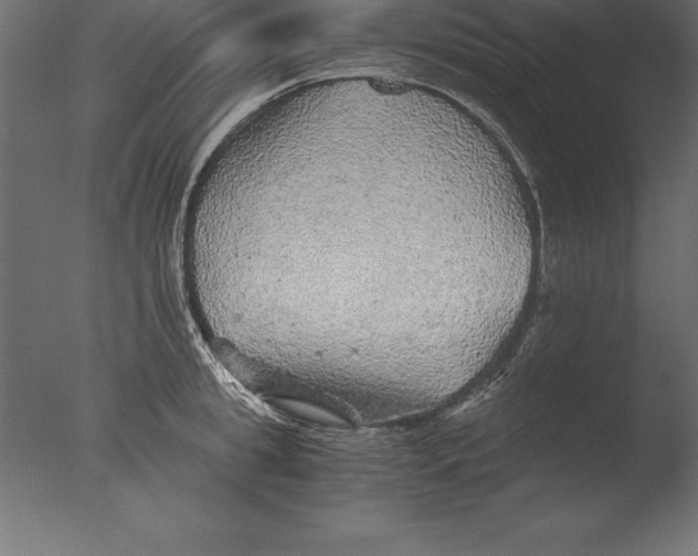 X0000076350949200610201757