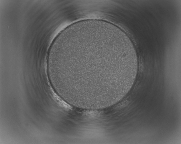 X0000076350950200610201757