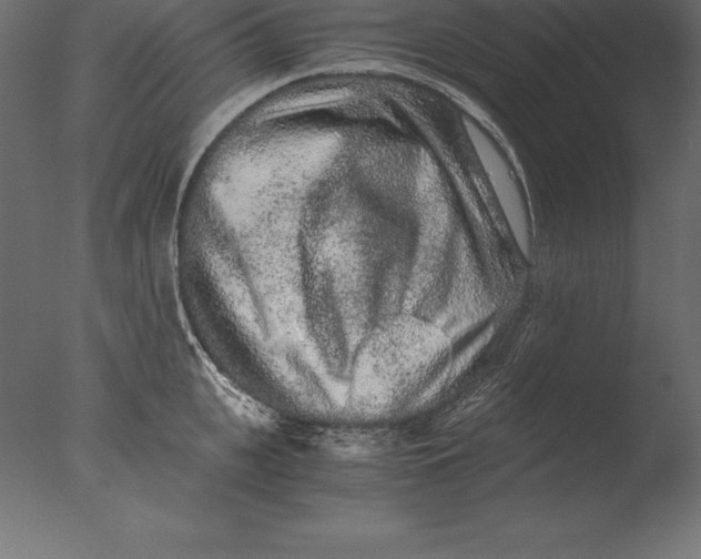 X0000076350951200610201757