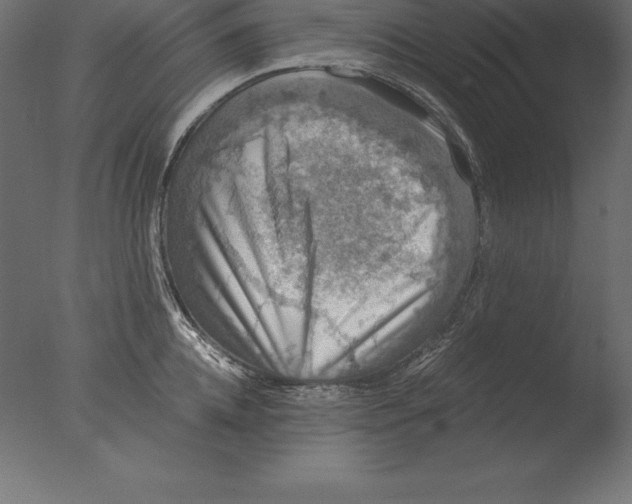 X0000076350952200610201757