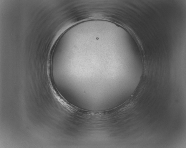 X0000076350955200610201757