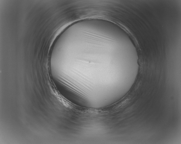 X0000076350956200610201757