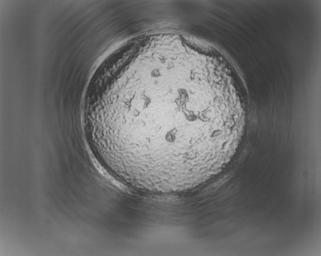 X0000076350957200610201757