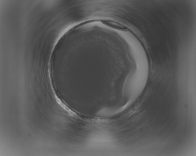 X0000076350958200610201757