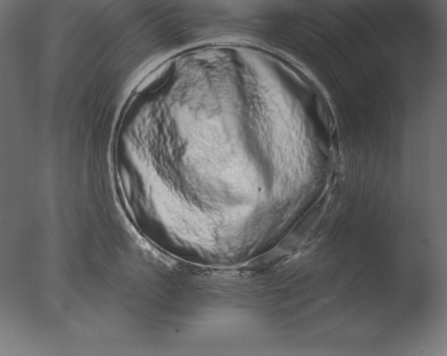 X0000076350959200610201757