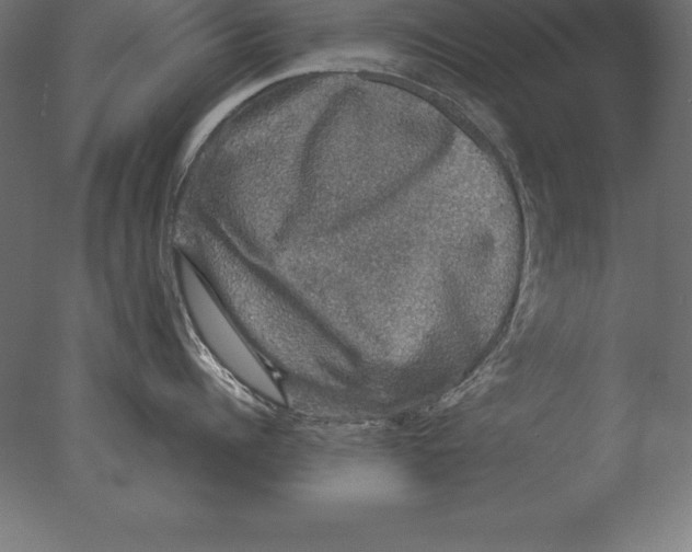 X0000076350960200610201757