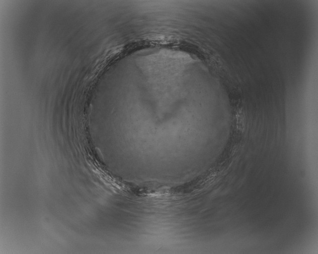 X0000076350961200610201756