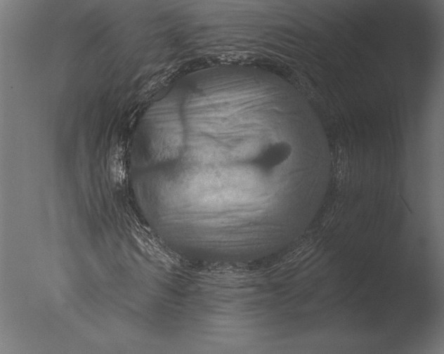 X0000076350962200610201756