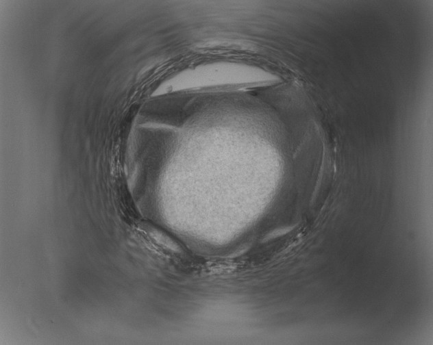 X0000076350965200610201756