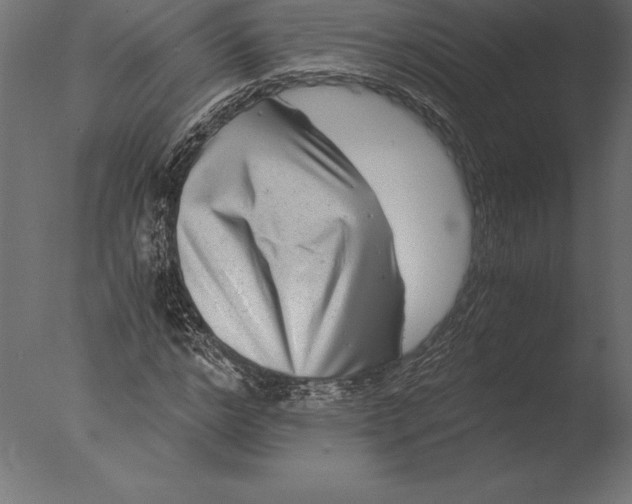 X0000076350968200610201756