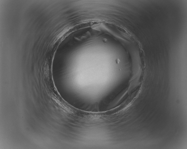 X0000076350969200610201756