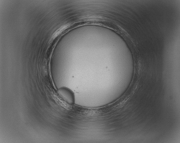 X0000076350970200610201756