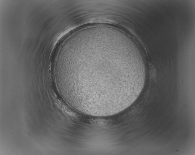 X0000076350971200610201756