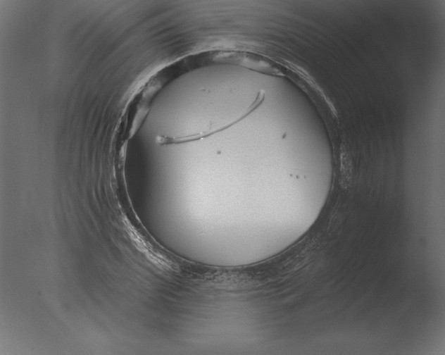 X0000076350972200610201756