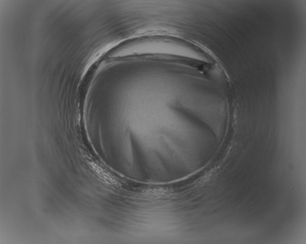 X0000076350973200610201756