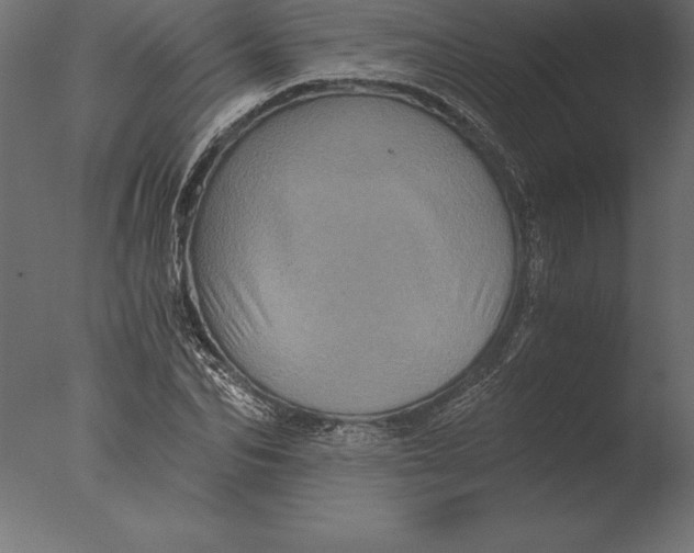 X0000076350974200610201756