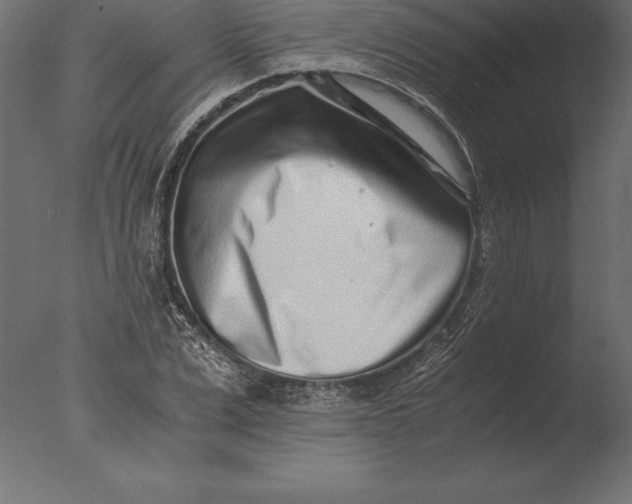 X0000076350975200610201756