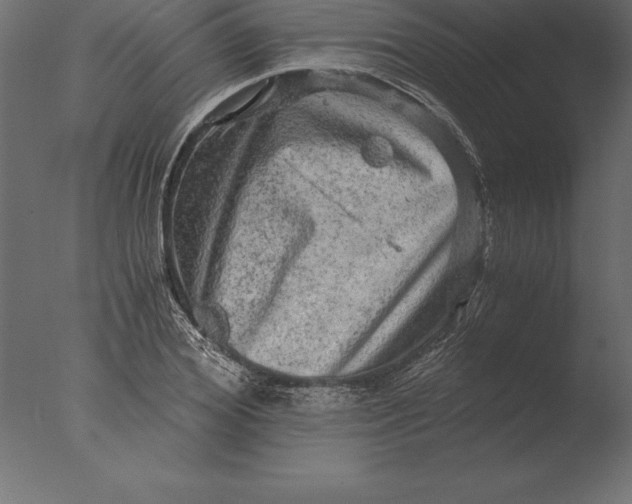 X0000076350980200610201756