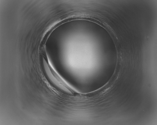 X0000076350981200610201756