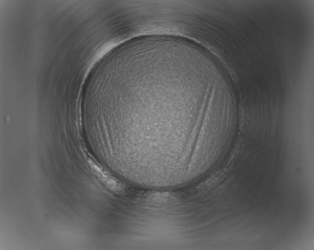 X0000076350982200610201756