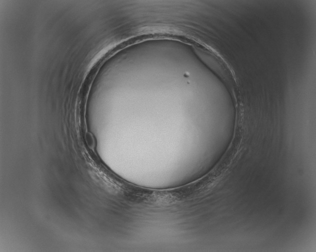 X0000076350983200610201756