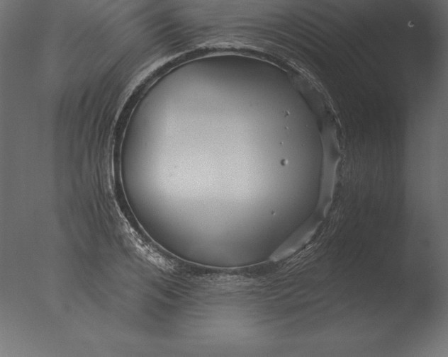 X0000076350984200610201756