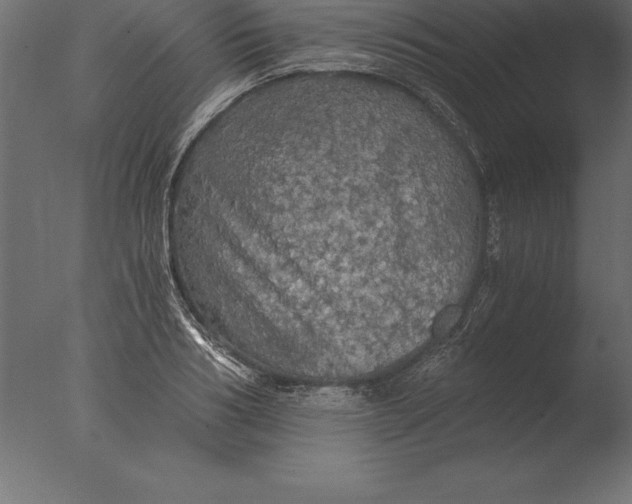 X0000076350986200610201755