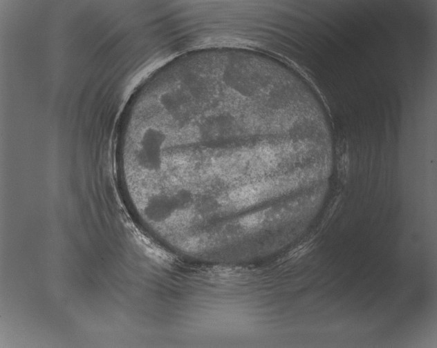 X0000076350987200610201755