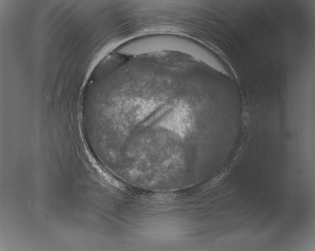 X0000076350989200610201755