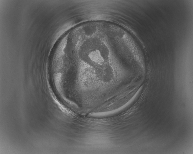 X0000076350991200610201755