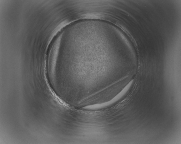 X0000076350992200610201755