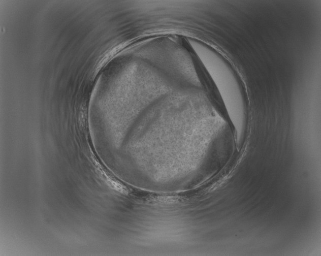 X0000076350993200610201755