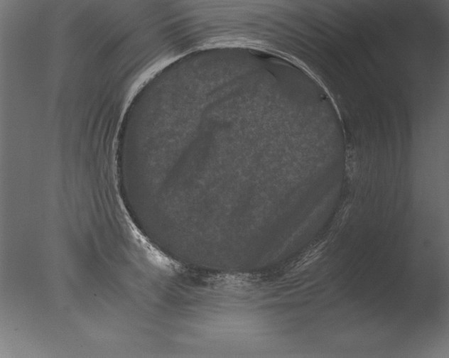 X0000076350995200610201755