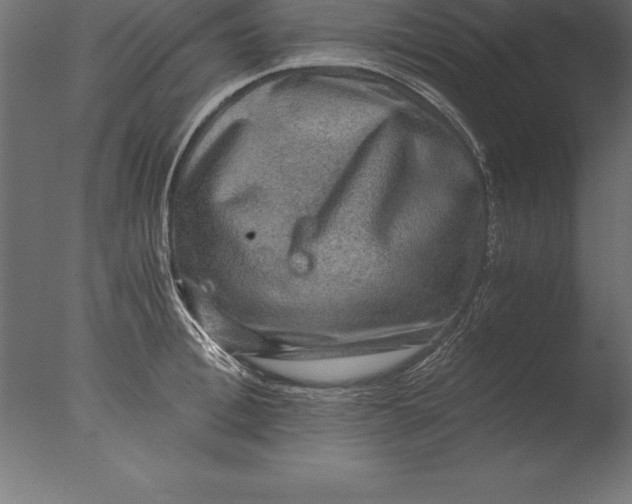 X0000076350996200610201755