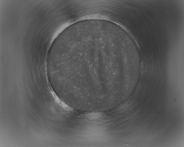 X0000076350998200610201755