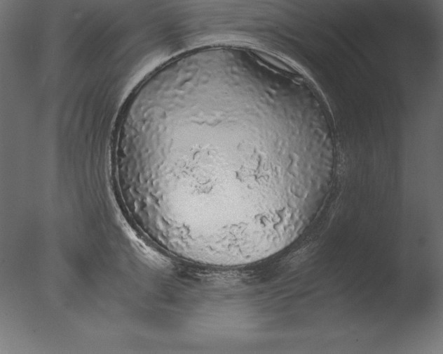 X0000076350999200610201755